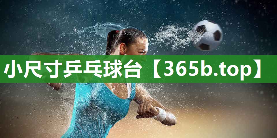 小尺寸乒乓球台 小尺寸乒乓球台